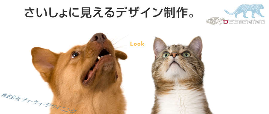 さいしょに見える、デザイン制作